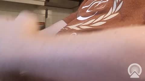 Snapshot of nick_x_b chatting on December 9, 5:19 pm nick_x_b online show from December 9, 5:19 pm