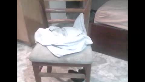 TheCock online show from February 7, 11:58 am