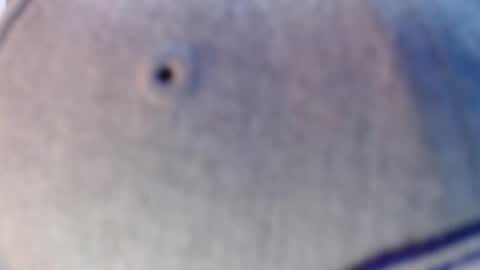 nicolas online show from December 12, 7:19 am