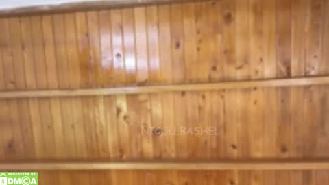 Snapshot of nicollbashel chatting on November 17, 5:13 am Nicoll Independent model online show from November 17, 5:13 am