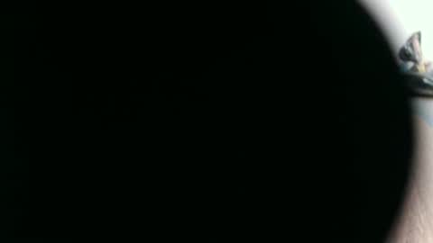 Snapshot of night_temptation chatting on November 5, 8:47 am Eva George online show from November 5, 8:47 am