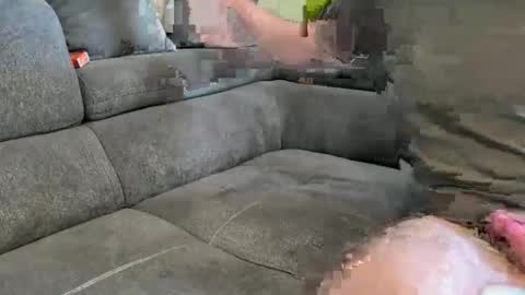 Nightfox778899 online show from February 10, 8:51 am