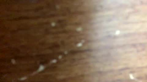 Snapshot of nightmoves1970 chatting on November 20, 2:34 am nightmoves1970 online show from November 20, 2:34 am