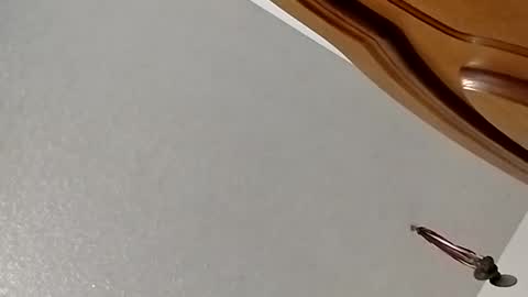 Snapshot of nightnightlol chatting on February 11, 3:08 pm nightnightlol online show from February 11, 3:08 pm