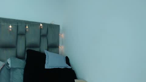 Snapshot of nikki_333 chatting on December 4, 6:33 am Nilly online show from December 4, 6:33 am