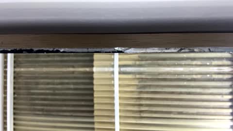 Nikki  online show from October 14, 3:07 am