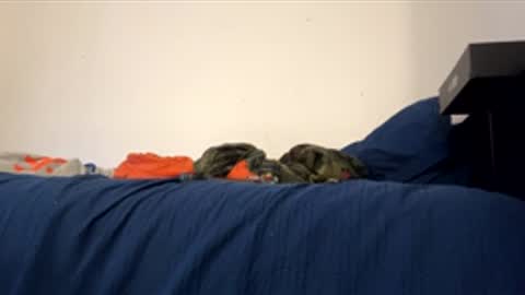 nikogigiii online show from January 17, 4:28 am