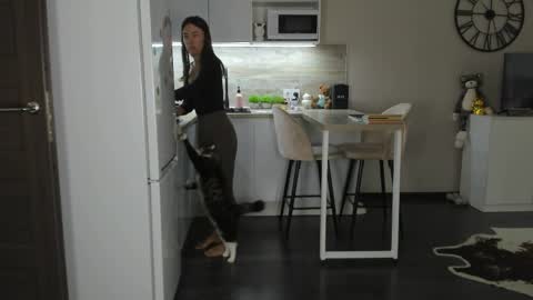 Bella online show from April 5, 10:34 am