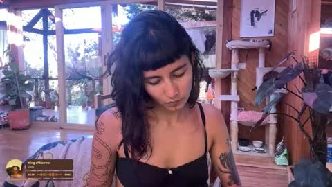 Nina.  online show from October 20, 9:26 pm