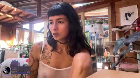 Nina.  online show from November 30, 9:08 pm