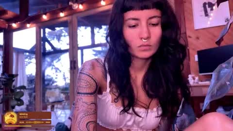 Nina.  online show from March 1, 10:23 pm