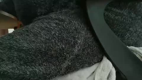 nineinchhard online show from October 22, 10:26 am