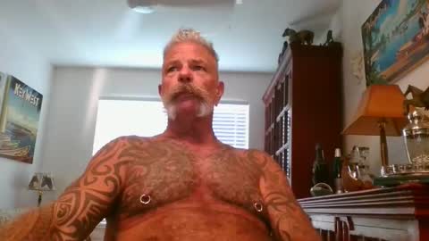 Snapshot of njdbear chatting on November 1, 9:28 pm Don online show from November 1, 9:28 pm