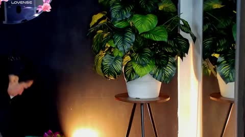 Noah  online show from April 10, 3:23 am