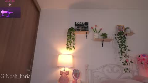 noah__23 online show from June 20, 11:07 pm