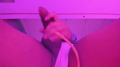 NOAH online show from December 21, 11:17 am