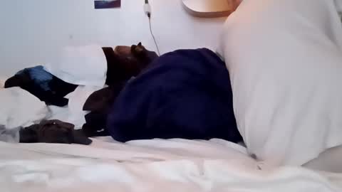 Noah Wesley online show from January 18, 2:12 pm