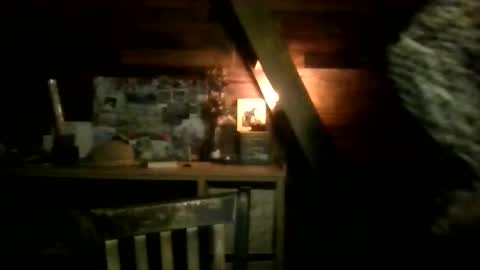 Nola online show from March 13, 2:40 am