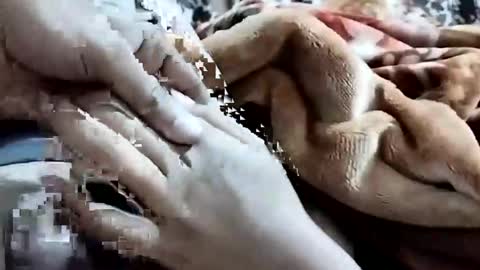 sim  nib online show from February 1, 1:15 am