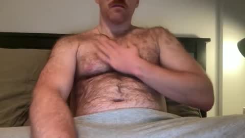 No Plan online show from December 2, 1:33 am