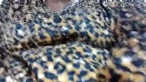 nora_roy246 online show from January 8, 5:54 am