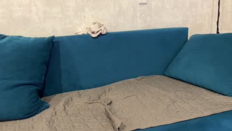 Eva online show from December 29, 12:55 pm