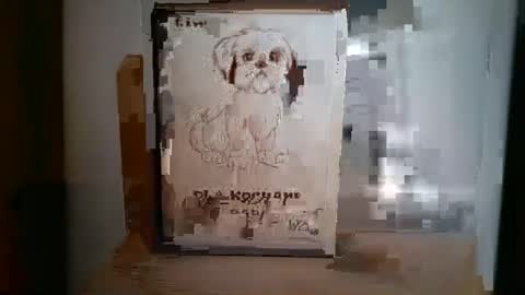 norbertopl87 online show from January 18, 5:15 pm