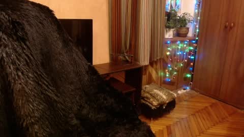 miss Tress online show from December 28, 9:19 pm