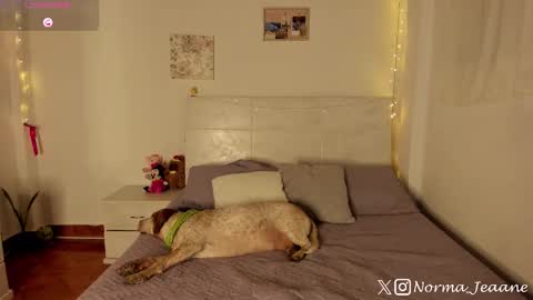 Snapshot of norma_jeaane chatting on October 4, 8:29 pm Norma Jeaane online show from October 4, 8:29 pm