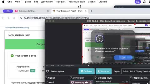 North stallions online show from November 24, 10:48 am