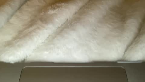 noscandal online show from December 21, 5:03 am