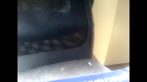 Snapshot of nostradamuslu chatting on November 10, 8:24 am nostradamuslu online show from November 10, 8:24 am