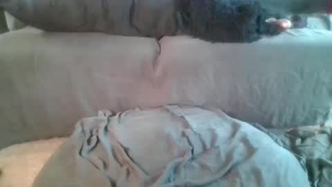 Snapshot of nova_kanee chatting on April 19, 6:10 pm Nova online show from April 19, 6:10 pm