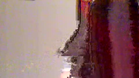 novahexx online show from April 13, 1:22 am