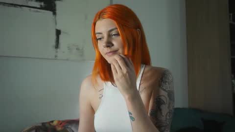 Nova online show from November 9, 7:01 pm