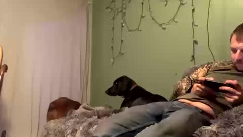 nsy57528 online show from October 19, 12:00 am