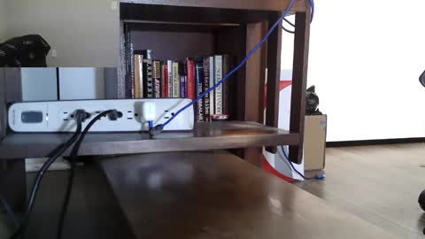 Nyctophilic online show from April 10, 3:39 pm