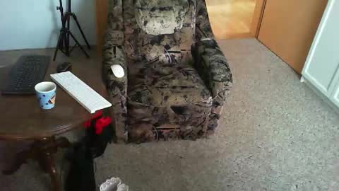 Strumpfhose online show from November 29, 9:01 am