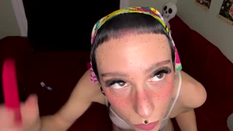 Nymphaea online show from October 20, 12:33 am