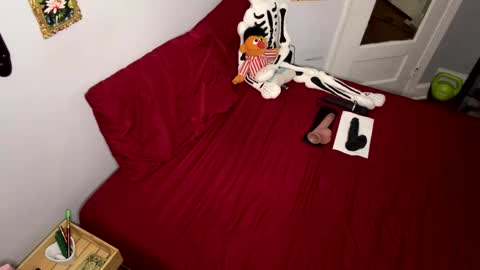 Nymphaea online show from April 19, 10:56 pm