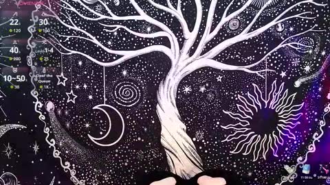 nyx murtualer online show from December 16, 3:00 am