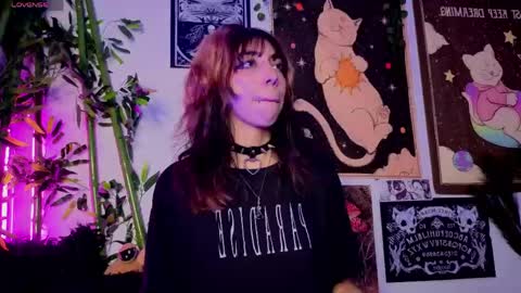   online show from March 17, 6:17 am