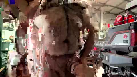 Snapshot of odang_13 chatting on February 21, 10:55 pm odang_13 online show from February 21, 10:55 pm