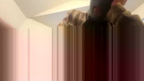 Snapshot of ohnowayyyy305 chatting on February 17, 4:02 pm ohnowayyyy305 online show from February 17, 4:02 pm