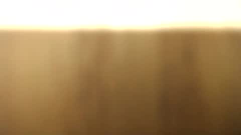 okoro1212 online show from November 28, 1:08 am