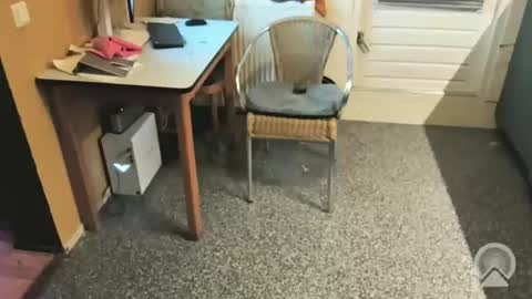 oldersagger online show from December 4, 5:43 pm