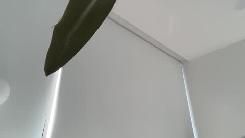 Olivia Brookes online show from December 4, 7:55 pm