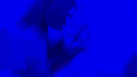 onurkneespls online show from September 28, 12:05 am