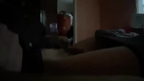 originreal online show from December 16, 9:58 am