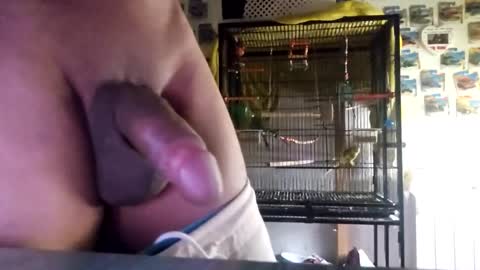 Snapshot of orlandovilla48 chatting on October 21, 11:55 am orlandovilla48 online show from October 21, 11:55 am